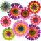 9 Pieces Spring Flower Hanging Paper Fans Decorations Flower Paper Fans Classroom Decorations Springtime Bloom Colorful Floral Ceiling Wall Garland for Spring Flower Themed Party Supplies Classroom Decor